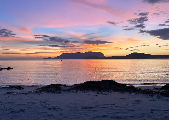 Nyaraló Rosa Dei Venti - Casa Levante - Sardegna - Iun R2403 Olbia